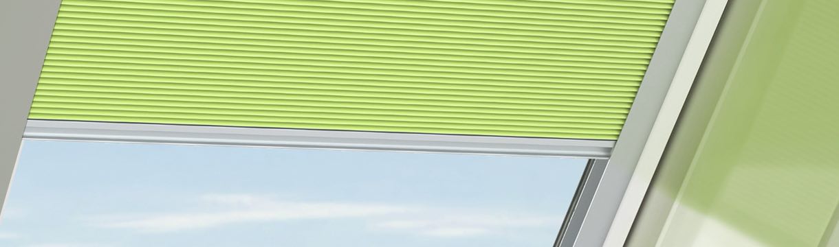 Fragen und Antworten (FAQ)