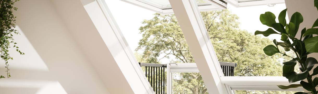 Fragen und Antworten (FAQ)