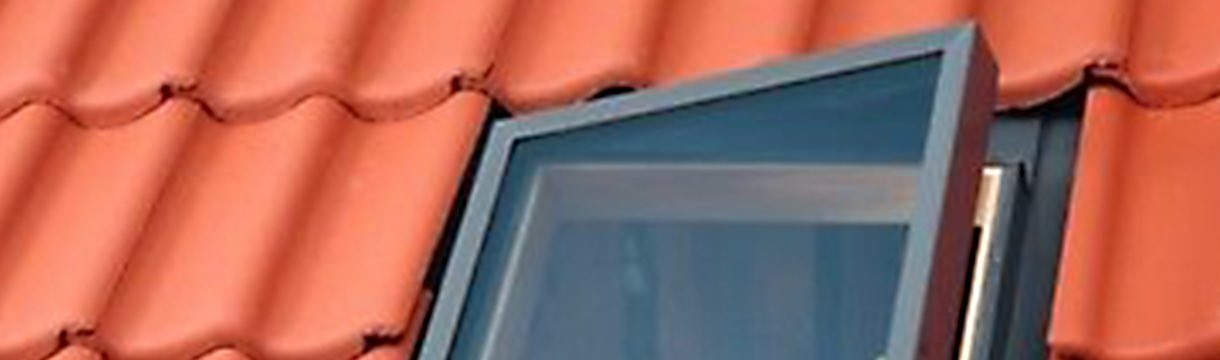 Fragen und Antworten (FAQ)