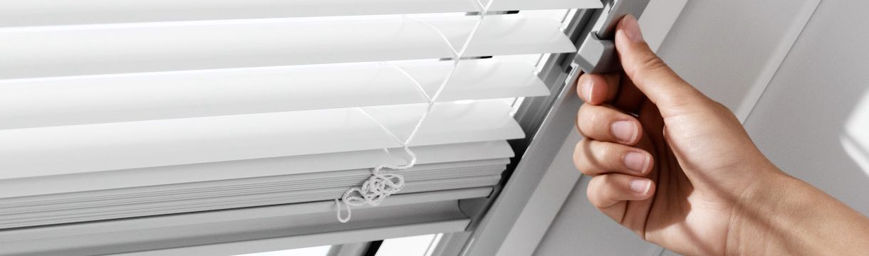 Fragen und Antworten (FAQ)