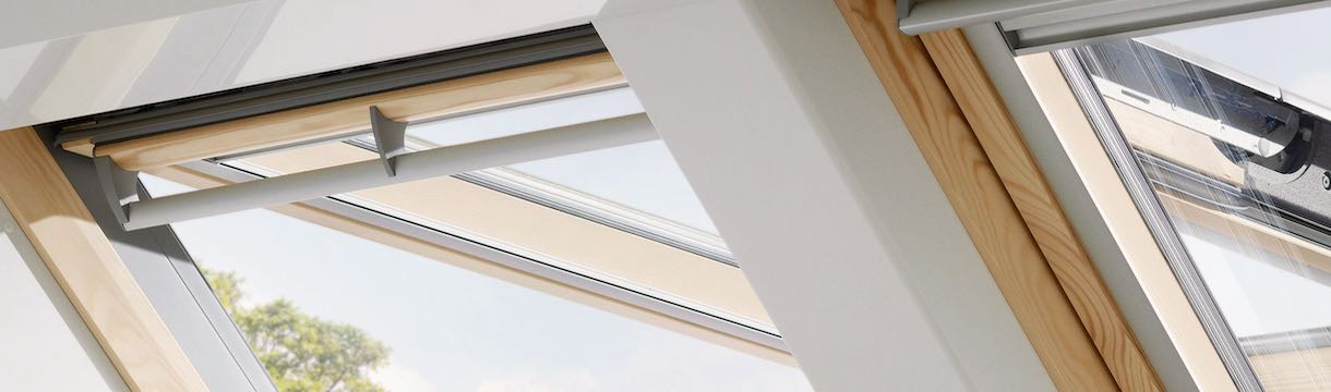 Fragen und Antworten (FAQ)