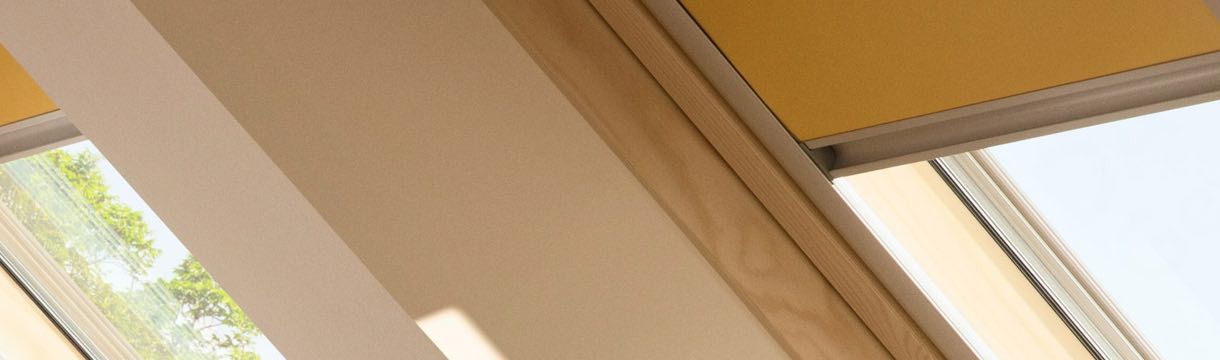 Fragen und Antworten (FAQ)